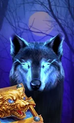 Book Of The Night Wolf